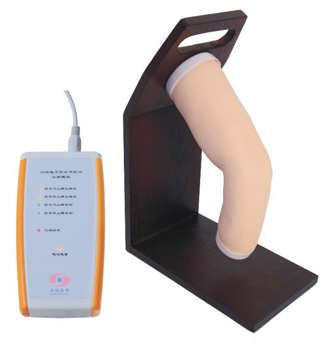 肘關節(jié)腔內注射模型