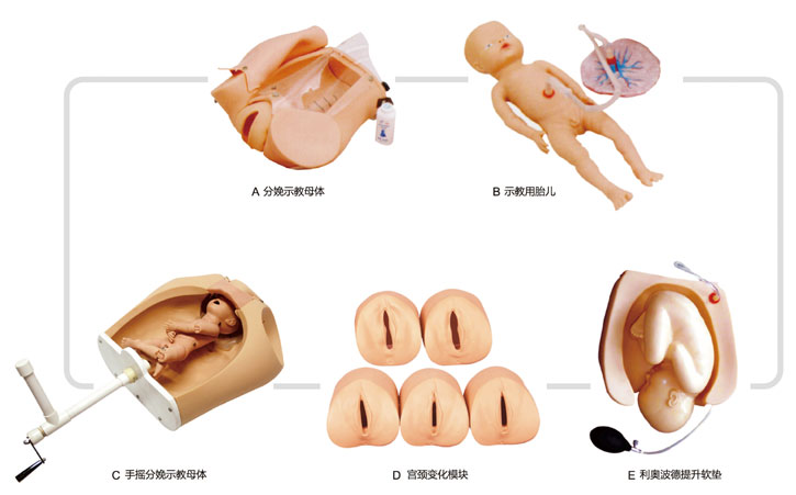 高級(jí)腹部觸診、分娩機(jī)轉(zhuǎn)綜合模型
