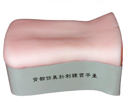 背部仿真針刺手法練習(xí)平臺