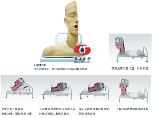 高級吞咽機(jī)制模型