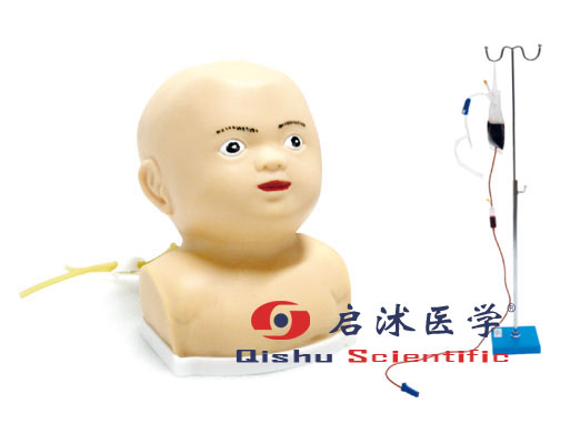 高級嬰兒頭部靜脈穿刺訓練模型