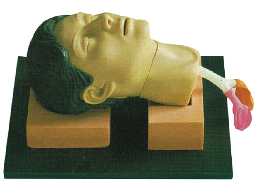 環(huán)甲膜穿刺教學模型