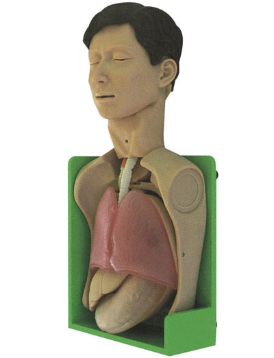 透明洗胃、胃腸減壓仿真標準化病人